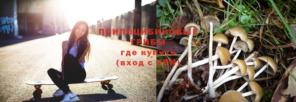 крисы Балабаново
