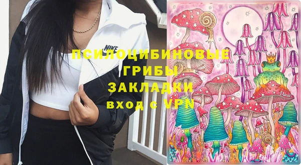 дживик Слюдянка